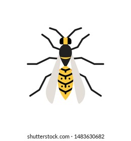 Wasp single flat icon. Hornet simple sign in cartoon style. Bee pictogram. Insect symbol Wildlife, Entomology closeup color vector illustration isolated on white. Graphic design element for card, logo