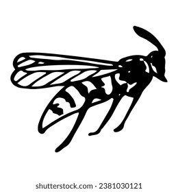 Wasp sketch. Flying stinging insect honey bee. Hand drawn illustration.