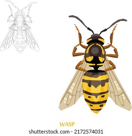 Wasp Sketch to vector Illustration.