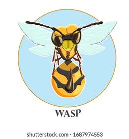 Wasp. Sticker wasp on a blue background and the inscription wasp. Vector flat illustration. 
