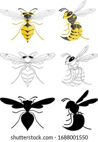 Wasp top view and side view. Colored, contours and silhouettes. Cartoon set of wasps Isolated on a white background.