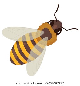 Wasp top view yellow striped dangerous flying winged insect vector flat illustration. Bee honeybee bumblebee with sharp sting poisonous parasite wild natural summer hornet animal mascot with antennae