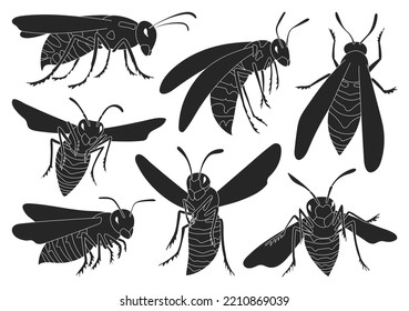 Wasp vector black icon set . Collection vector illustration yellow wasp on white background. Isolated black icon set bee and hornet for web design.