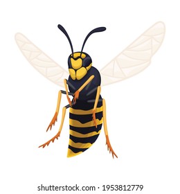 Wasp vector cartoon icon. Vector illustration insect wasp on white background. Isolated cartoon illustration icon of insect hornet.