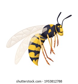Wasp vector cartoon icon. Vector illustration insect wasp on white background. Isolated cartoon illustration icon of insect hornet.