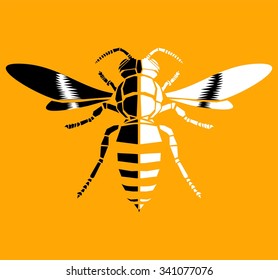 Wasp, vector icon