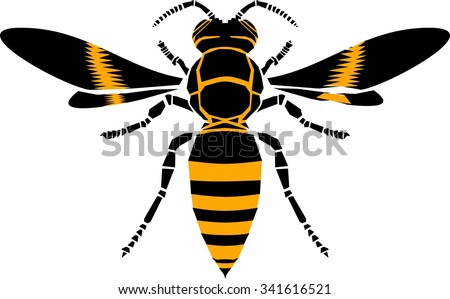 Wasp, vector icon