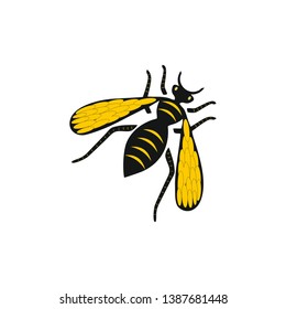 wasp vector icon illustration design