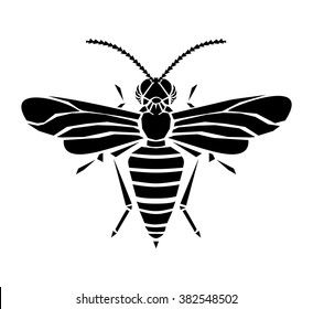 Wasp vector illustration
