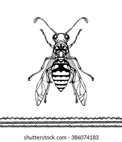 wasp vector illustration black and white, hornet, isolated, honey, fly, white, yellow, vector, sign, graphic, bee