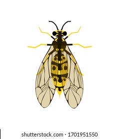 Wasp vector illustration Colorful wasp Wildlife insec. Bee icon. Vector