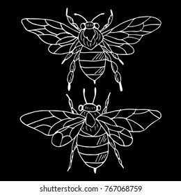 Wasp vector illustration. Doodle style. Design, print, decor, textile, paper