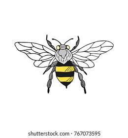 Wasp vector illustration. Doodle style. Design, print, decor, textile, paper