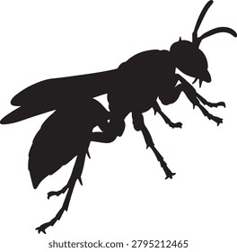 Wasp vector illustration, flying insect, black silhouette, side view, on transparent background.