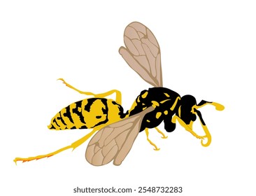 Ilustración vectorial de avispa aislada sobre fondo blanco. Símbolo de silueta de Vector de abeja de miel. Sombra de insectos. Silueta de avispón. Animal venenoso.