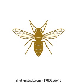 Wasp vector illustration. Wasp logo design concept template. Creative symbol