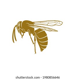 Wasp vector illustration. Wasp logo design concept template. Creative symbol