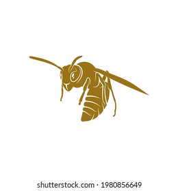 Wasp vector illustration. Wasp logo design concept template. Creative symbol