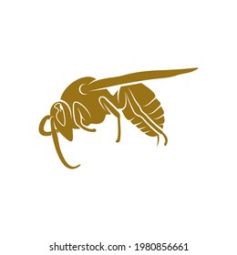 Wasp vector illustration. Wasp logo design concept template. Creative symbol