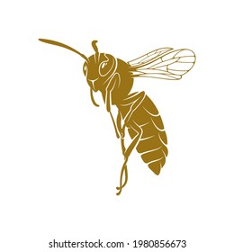 Wasp vector illustration. Wasp logo design concept template. Creative symbol