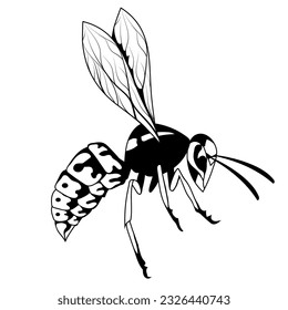 Wasp. Vector illustration of a sketch hornet or bee. Dangerous striped insect