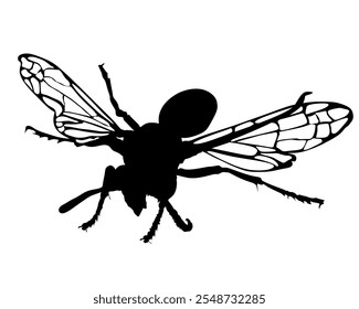 Wasp vector silhouette illustration isolated on white background. Honey bee vector silhouette symbol. Insect shadow. Hornet silhouette. Poison animal deadly insect with sting.