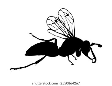 Wasp vector silhouette illustration isolated on white background. Honey bee vector silhouette symbol. Insect shadow. Hornet silhouette. Poison animal deadly insect with sting.