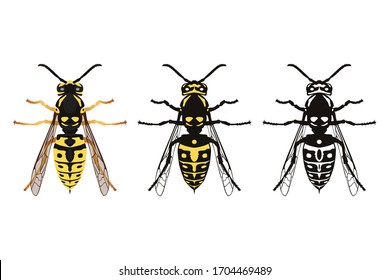 Wasp. The view from the top. Beautiful winged insect in cartoon style. Vector illustration isolated on a white background for design and web.
