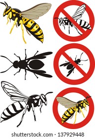 wasp - warning signs