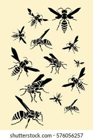 Wasps 