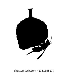 Wasp's hornet silhouette vector on white