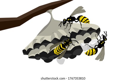 Wasps on the nest vector isolated illustration