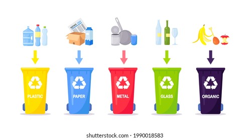 Waste collection, segregation and recycling. Garbage separated into different types and collected into waste containers. Each bin for different material. Vector illustration