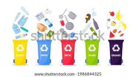 Waste collection, segregation and recycling. Garbage separated into different types and collected into waste containers. Each bin for different material. Vector illustration