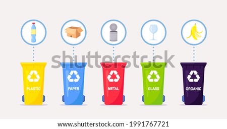 Waste collection, segregation and recycling. Garbage separated into different types and collected into waste containers. Each bin for different material. Vector illustration