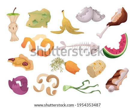 Waste foods. Recycling organic trash fruits meat vegetables fish bones waste exact vector illustrations isolated