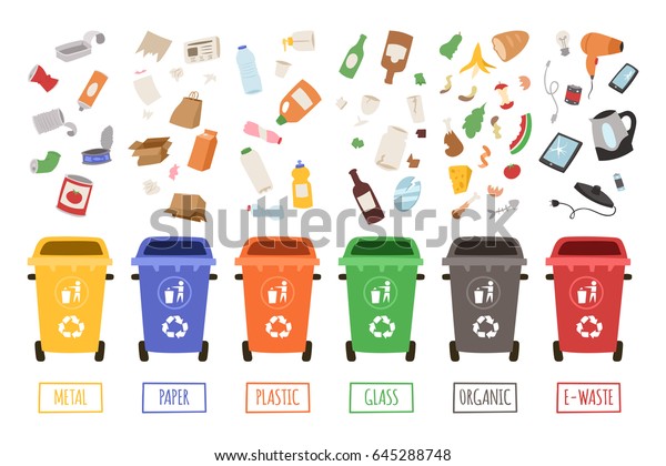 Waste Plastic Separate Cans Recycling Sorting Stock Vector Royalty Free