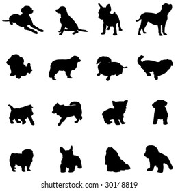 Watch the famous dog