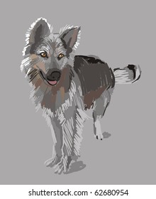 watchdog