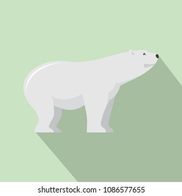 Watching of polar bear icon. Flat illustration of watching of polar bear vector icon for web design