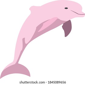 Vector de gamba de delfín de cáscara de ballena de animales de agua