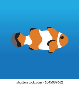 Vector de gamba de delfín de cáscara de ballena de animales de agua
