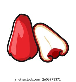 water apple syzygium aqueum, split fruit vector cartoon