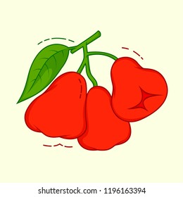 Water Apple Vector Illustration