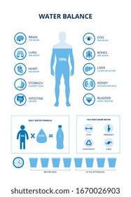 Water balance infographics set with human body and internal organs icons, vector illustration isolated on white background. Medical educational banner with charts.