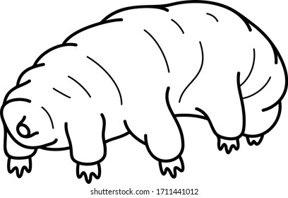 Water bear micro animal. Vector outline icon.