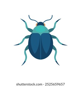 Water Beetle inseto isolado vetor plano ilustração fundo branco