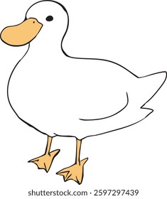 The water bird duck walks along steadily.