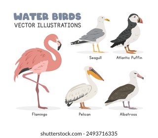 Juego de Ilustración vectorial de aves acuáticas. Clipart de dibujos animados de aves marinas en estilo plano. Flamingo, gaviota, pelícano, albatros, diseño de Vector plano de frailecillo atlántico. Animales salvajes, concepto de aves