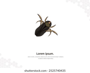 Water boatman vector art for wall decoration. realistic animal images. Hand drawn insect animal isolated. for research, room decoration, events, etc